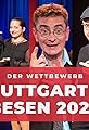 Wettbewerb um den "Stuttgarter Besen" 2017's primary photo